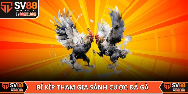 Bí kíp tham gia sảnh cược đá gà trực tiếp tối ưu nhất