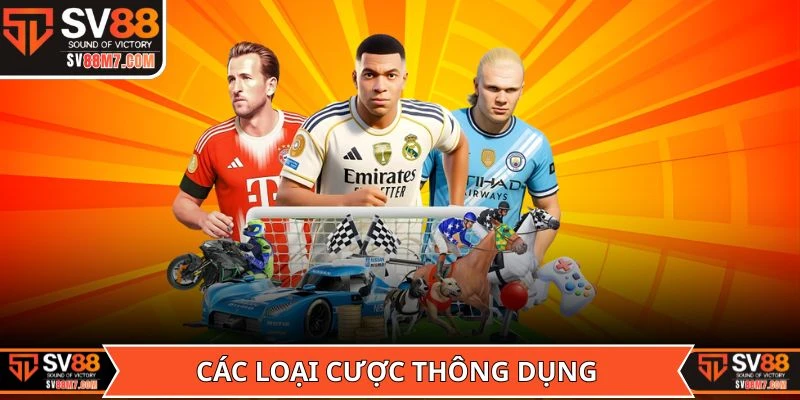 Các loại cược thông dụng nên nắm rõ trong kèo bóng đá