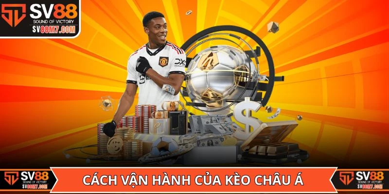 Cách vận hành của kèo châu Á mà tân thủ nên nắm